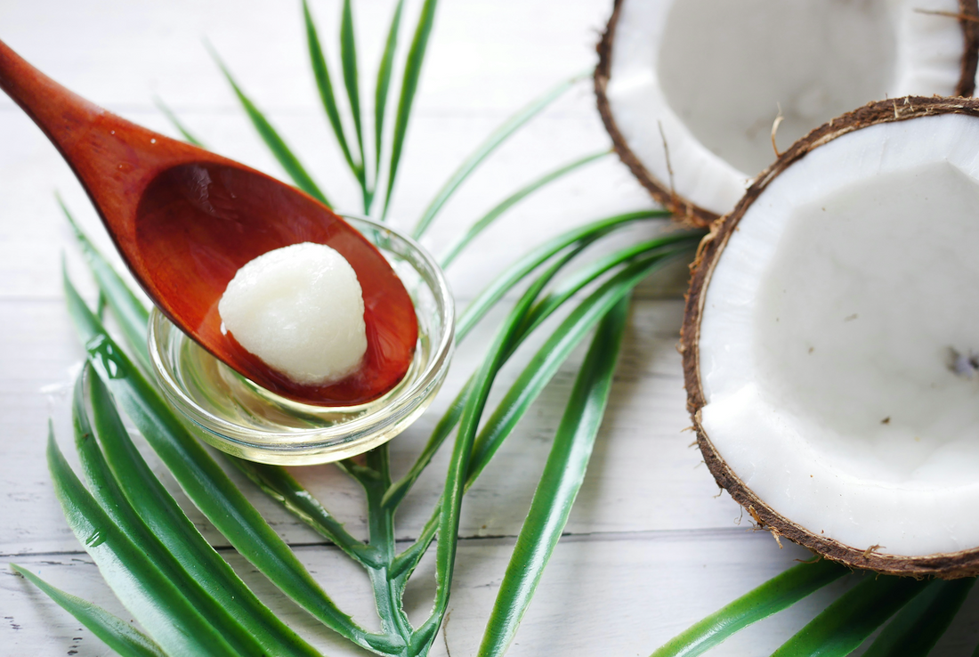 Tallow vs. Plant Oils: Which Is Better for Your Skin?