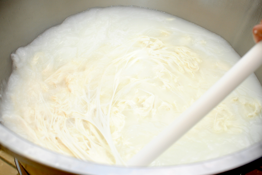 Animal-Based Skincare: Why Tallow and Goat Milk Are Making a Comeback